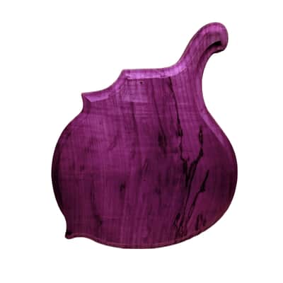 Licensed by Weymann® USA MADE Celestial BIZARRE Body Custom Shop Replacement Body Solid Body Electric image 7