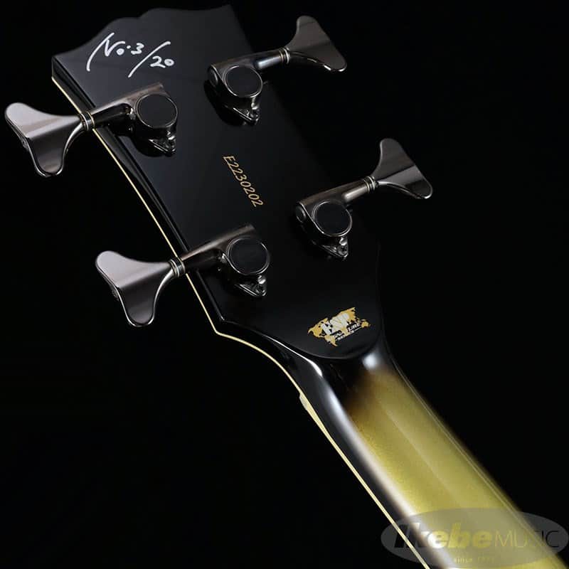 ESP D-TR (RU-DRIVE Arch) [Dir en grey Toshiya Model] -Made in