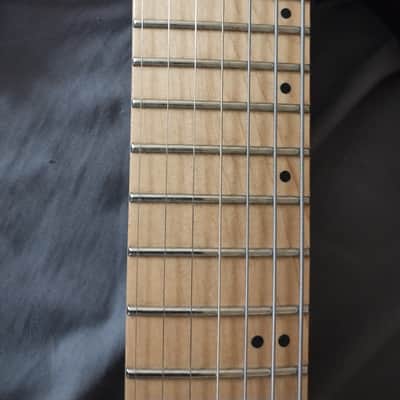 Agile Septor 7 string Floyd, Seymour Duncan Blackouts Transparent red in a thick soft case bottle protection box image 13