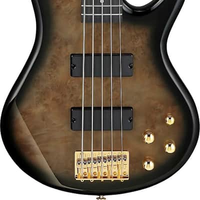 Ibanez GSR205PC GIO 5-String Bass Guitar, Purpleheart Fingerboard, Transparent Pale Black Burst image 2