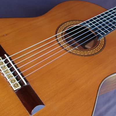 1975 Manuel G. Contreras (1st generation) Classical Guitar Calle Mayor 80, Madrid Cedar Top / Rosewood Body Original Hard Case image 22