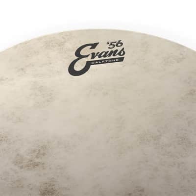 Evans TT14C7 Calftone Tom Batter 14 inch image 2