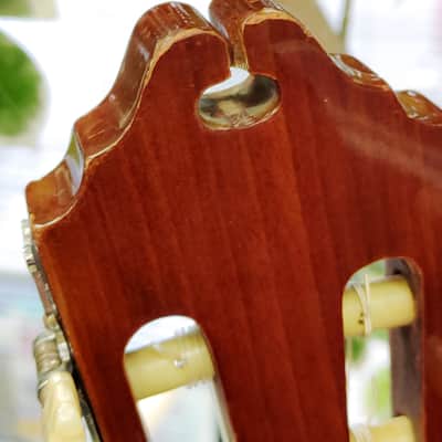 Enrique Tapicas C40 Cadiz Classical Guitar by Washburn - Natural image 17