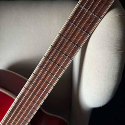 Tad Brown Archtop 16" Acoustic Calton Case image 17