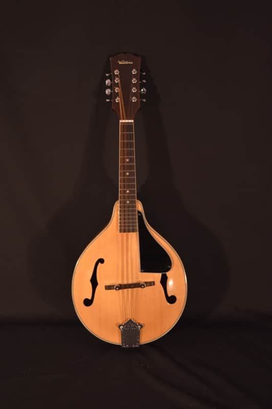 Ventura Mandolin – Excellent Condition! image 1