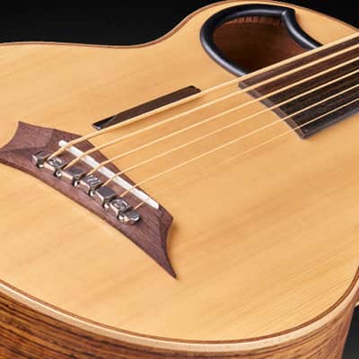 Warwick 1376909001CFOVSMWW Alien 6-String Fretless Acoustic Bass Guitar w/Hey Key Tools & Cloth image 2