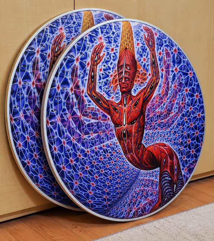 Tool, TWO 22" Bass drumheads, Danny Carey, The TURNING MAN