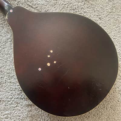 Sunburst 8 String Mandolin Project, Spruce Top, Mahogany Body, Rosewood Fingerboard image 8