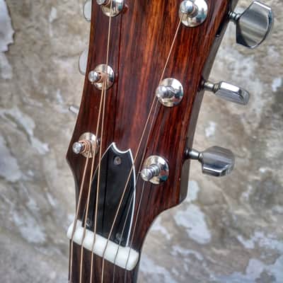 Epiphone PR 715 N 1980 with case image 1