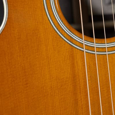 Santa Cruz Firefly 50th Anniversary image 3