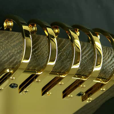 Ritter Royal "The Stone Age Roya" 5 string Fretless Bass image 11