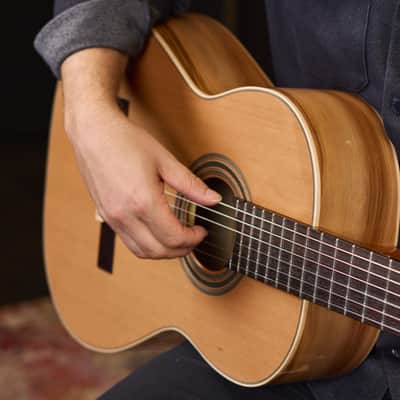 Ortega R20GSNRG Traditional Series Solid Cedar Top Mahogany Neck Nylon 6-String Classical Acoustic Guitar w/Gig Bag image 21