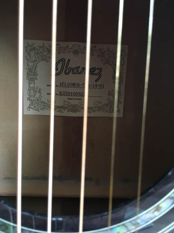 Ibanez AEL20 Black Transparent Sunburst Electro Acoustic - Hard