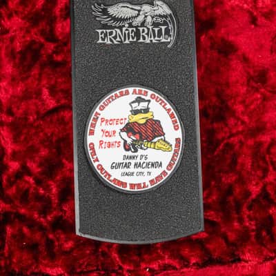 Ernie Ball Volume Pedal Jr. - 40th Anniversary Edition w/Box image 1
