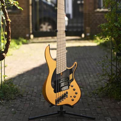 Dingwall NG3 Adam "Nolly" Getgood Signature 6 String - Gold Matte image 17