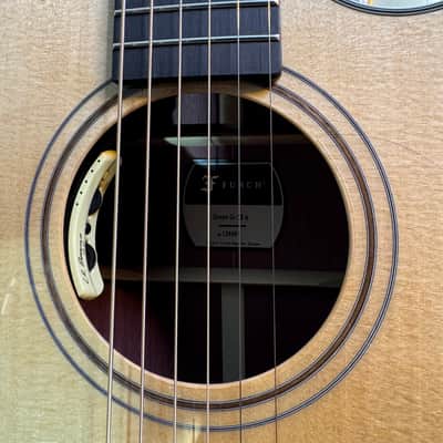 Furch GREEN Gc SX a BACKSTAGE LIMITED PURPLE HEART Lr Baggs Athem image 17