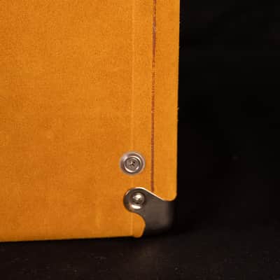 Amplified Nation Dirty Wonderland 2021 - Buckskin Suede 50 Watt image 7