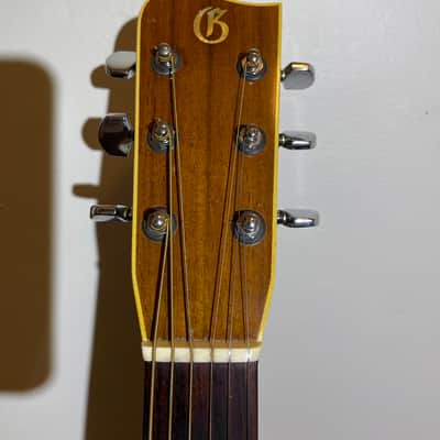 Gallagher G-50 1979 - Natural image 5
