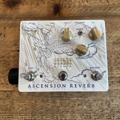 Epigaze Audio Ascension Reverb & Pad Pedal 2019 - White image 1
