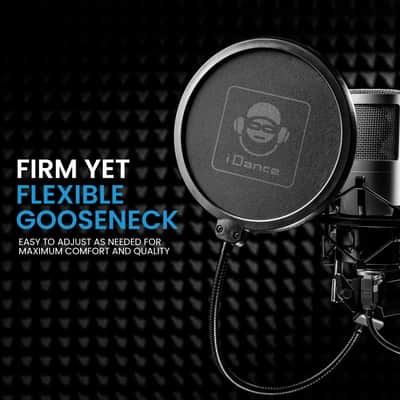 iDance Professional Microphone Pop Filter Shield, Wind Pop Screen with Flexible 360 Degree Gooseneck Clip Stabilizing Arm for Vocal Recording and Live Broadcasting image 3