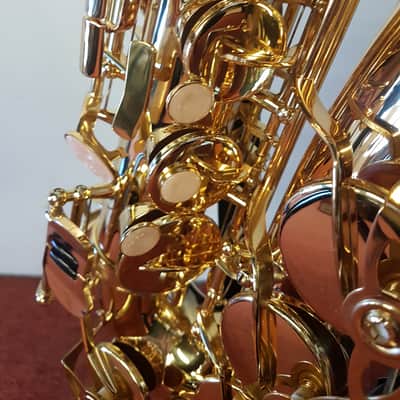 Artemis A1 Alto Sax Outfit - Gold Lacquer image 3