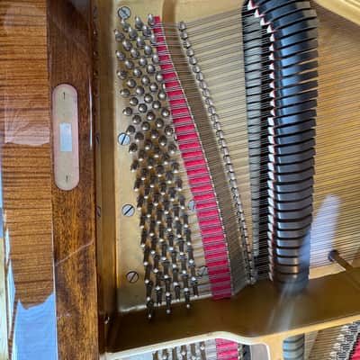 Immagine Petrof Baby Grand Piano 1990’s - Mahagony - 12