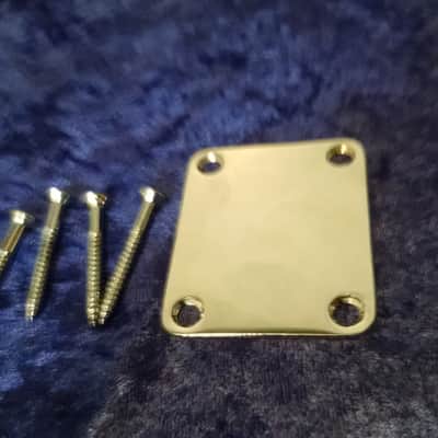 1990s Mighty Mite Chrome Neck Plate w/screws image 1