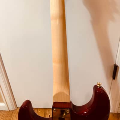 Donzilla ZebraWood Partscaster image 7