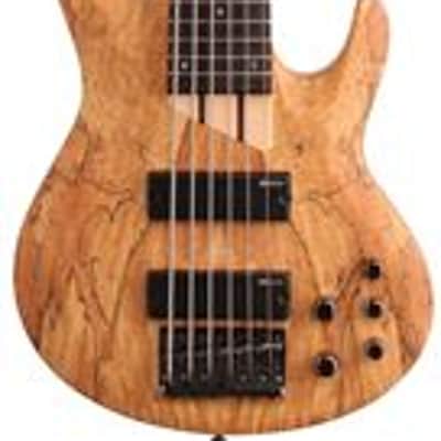 ESP LTD B206SM 6 String Electric Bass Guitar Natural Satin image 1