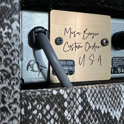 Mesa Boogie   Mark 1 Coversion Custom Order Snake Skin image 10