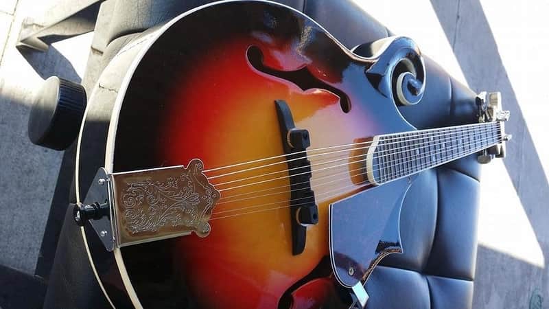 Berkeley Sunburst F-Style Mandolin Maple Back/Side image 1