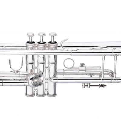 Levante LV-TR6301 Bb Trumpet Bell & Leadpipe in Gold Brass w/Soft Case & Mouthpiece 7C Silver Plated image 2