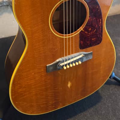 Epiphone FT-45 Cortez 1964 - Natural image 7