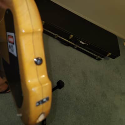 Wilcox lightwave classica c5 fretless 2000's natural image 6