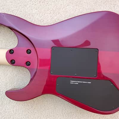 Caparison Dellinger Prominence image 14