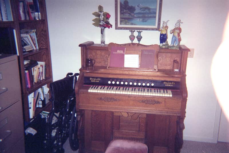 Seybold  Pump Organ Early 20th Cent Brown image 1