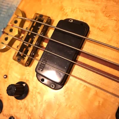 Alembic Distillate Bass 1983 Birdseye Maple and Mahogany Bild 17