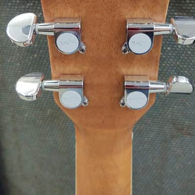 Washburn WG7SCE-A New Natural image 4