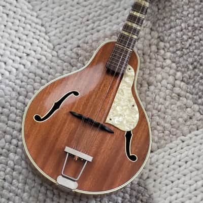 Alte Mandoline Gitarre Guitar Höfner Hofner  545 1950-1960 image 1