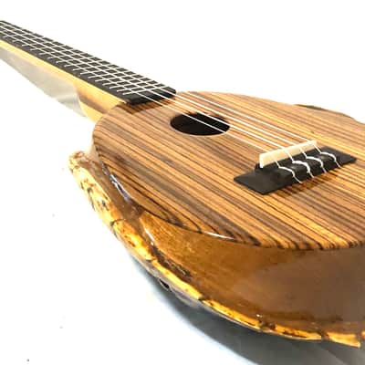 Turtle Shell Tenor Ukulele image 8