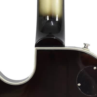 Epiphone Les Paul Custom Adam Jones Self Portrait image 6