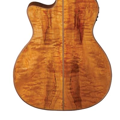 Washburn WCG66SCE Comfort Series Grand Auditorium with Fishman. New with Full Warranty! image 2