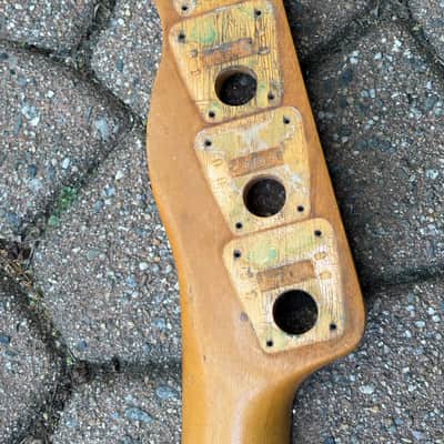 1968 Fender Telecaster Bass Neck Maple image 6