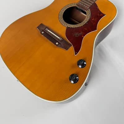 Hoyer 12–String Projec 1970’s image 2