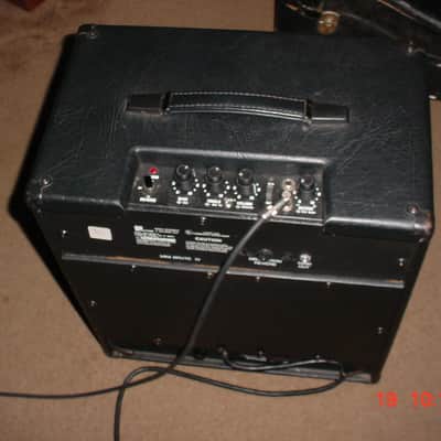 Polytone Mini Brute IV with 15" Speaker, Black image 2