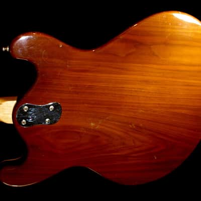 Mosrite MARK X, Model 502 JOE MAPHIS BASS 1967 Natural. Walnut Body. Spruce Top. Maple Neck. image 4