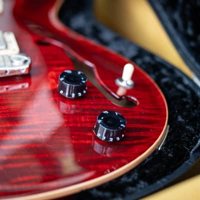 1999 PRS McCarty Hollowbody I (DEMO VIDEO) image 22