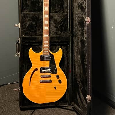 Reverend Manta Ray HB 2010s COMES WITH CASE - rare Flamed Maple image 7