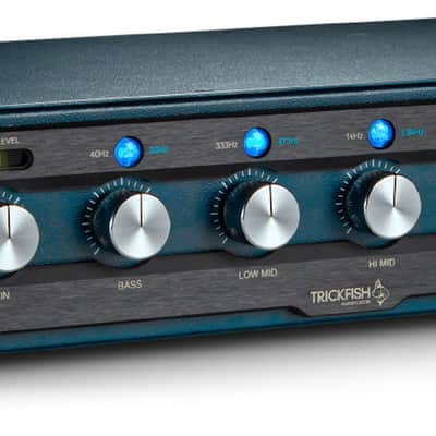 Trickfish Bullhead 1K Bass Amp Head image 1