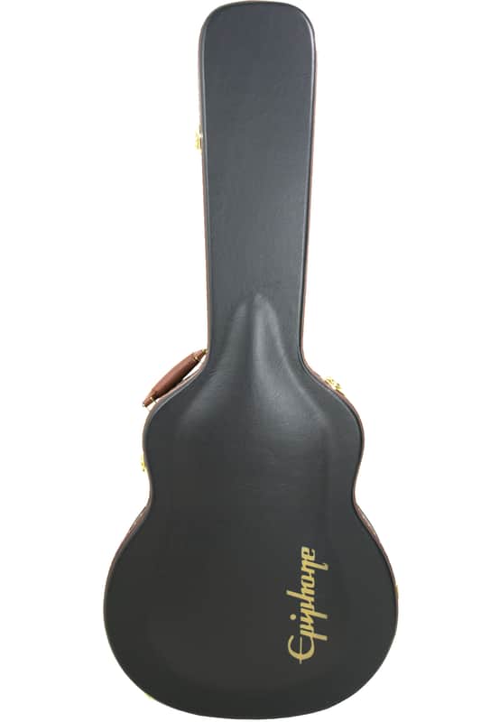 Epiphone L-00 / Parlor Koffer image 1